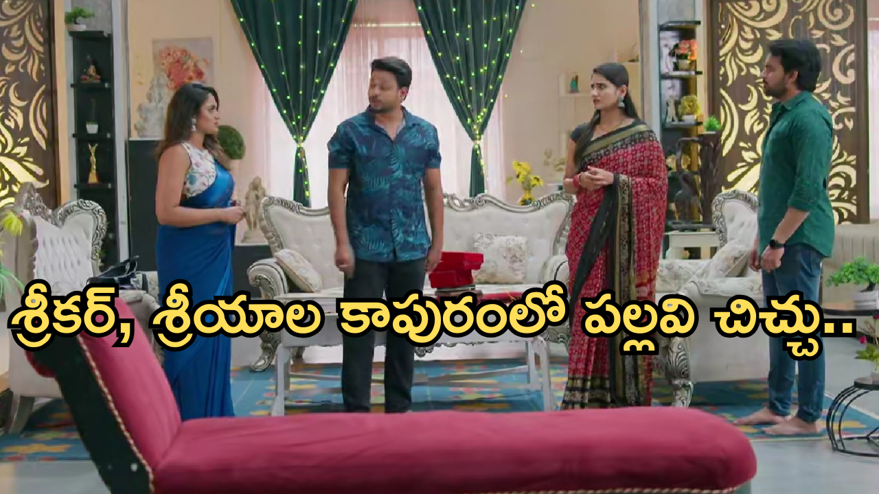Intinti Ramayanam Today Episode: పల్లవికి షాకివ్వబోతున్న అవని.. నిజం తెలుసుకున్న శ్రీకర్..