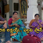 Intinti Ramayanam Today Episode: రోడ్డున పడ్డ అక్షయ్.. పల్లవికి బండారం బయటపడిందా..? అవని మాస్టర్ ప్లాన్..