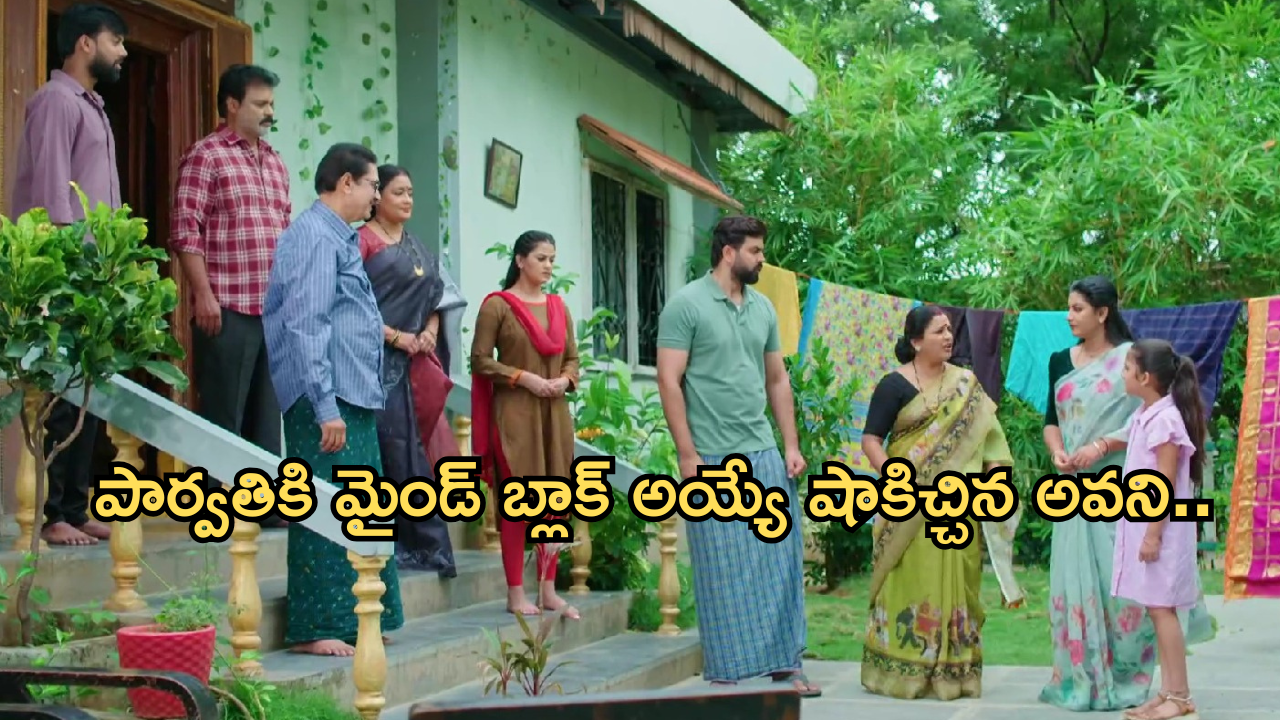 Intinti Ramayanam Today Episode: అవనిని రెచ్చగొట్టిన పార్వతి.. ఆరాధ్య ప్లాన్ సక్సెస్.. భానుమతిని బురిడీ కొట్టించిన కమల్..