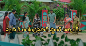 Poisonous Mushrooms: మష్రూమ్స్‌ తింటున్నారా? జాగ్రత్త.. పుట్టగొడుగులు తిని ఆరుగురు మృతి