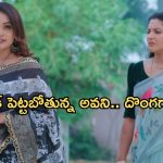 Intinti Ramayanam Today Episode: పల్లవికి దిమ్మతిరిగే షాకిచ్చిన అవని..రాజేశ్వరికి పల్లవిపై అనుమానం.. దొంగగా మారిన అక్షయ్..