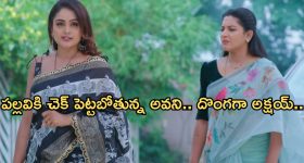 Tamilnadu News: పూజారుల వికృత చేష్ట‌లు.. మందేసి చిందులు వేస్తూ, ఆ తర్వాత భ‌క్తుల‌పై