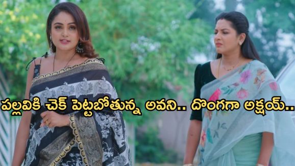 Intinti Ramayanam Today Episode: పల్లవికి దిమ్మతిరిగే షాకిచ్చిన అవని..రాజేశ్వరికి పల్లవిపై అనుమానం.. దొంగగా మారిన అక్షయ్..
