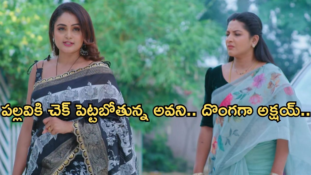 Intinti Ramayanam Today Episode: పల్లవికి దిమ్మతిరిగే షాకిచ్చిన అవని..రాజేశ్వరికి పల్లవిపై అనుమానం.. దొంగగా మారిన అక్షయ్..