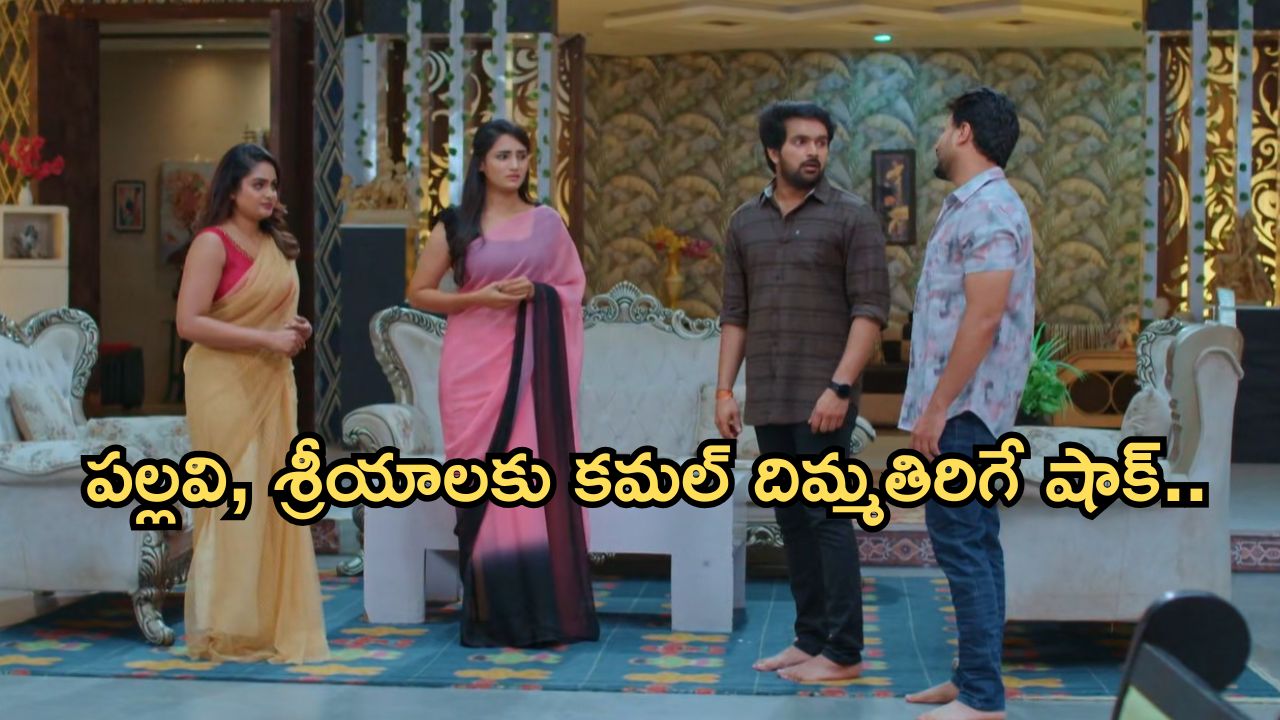 Intinti Ramayanam Today Episode: రాజేశ్వరికి పార్వతి స్ట్రాంగ్ వార్నింగ్.. దొంగలా కమల్.. చక్రధర్ కు షాక్..