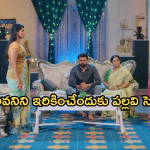 Intinti Ramayanam Today Episode: అవని, అక్షయ్ మధ్య ఫిట్టింగ్ పెట్టిన రాజేంద్ర ప్రసాద్.. కోడళ్ల మధ్య నలిగిపోతున్న పార్వతి..