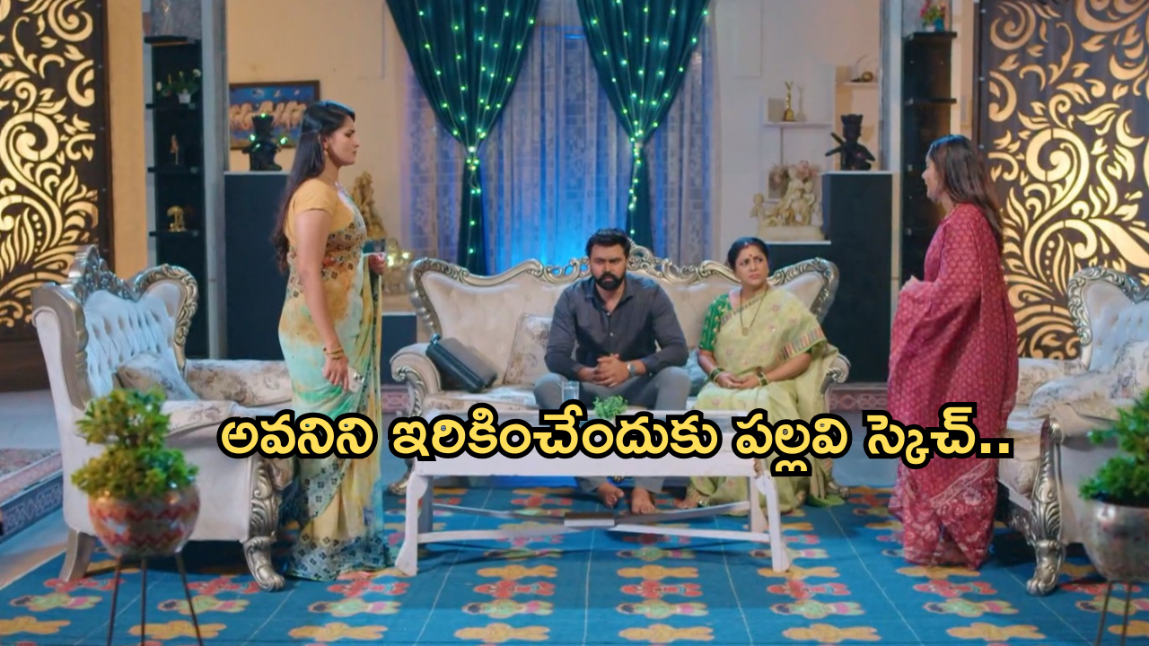 Intinti Ramayanam Today Episode: అవని, అక్షయ్ మధ్య ఫిట్టింగ్ పెట్టిన రాజేంద్ర ప్రసాద్.. కోడళ్ల మధ్య నలిగిపోతున్న పార్వతి..