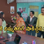 Intinti Ramayanam Today Episode: హమ్మయ్య.. తప్పించుకున్న పల్లవి.. రాజేంద్ర ప్రసాద్ కి పార్వతి  స్ట్రాంగ్ వార్నింగ్..