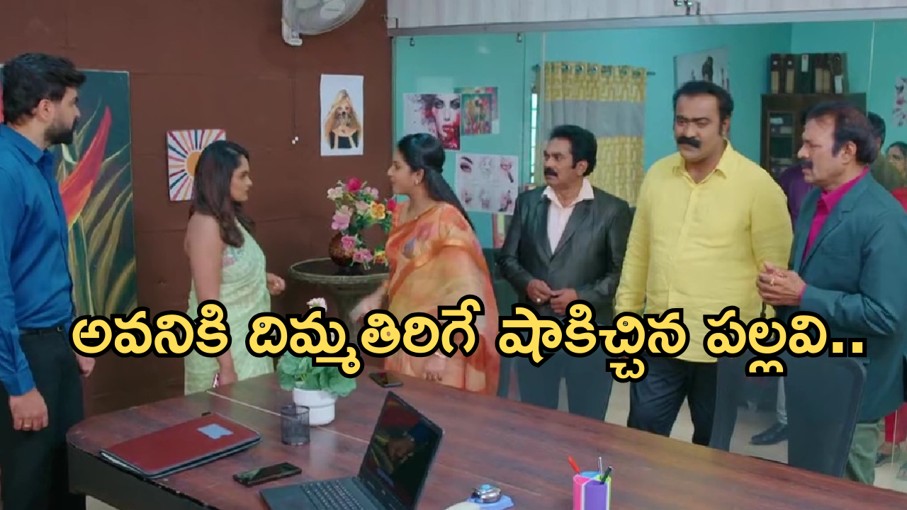 Intinti Ramayanam Today Episode: హమ్మయ్య.. తప్పించుకున్న పల్లవి.. రాజేంద్ర ప్రసాద్ కి పార్వతి  స్ట్రాంగ్ వార్నింగ్..