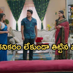 Intinti Ramayanam Today Episode: తప్పును అవని మీదకు తోసేసిన అక్షయ్.. రాజేంద్ర ప్రసాద్ పై పార్వతి సీరియస్..