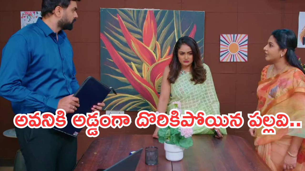 Intinti Ramayanam Today Episode: అవనిపై పగతో రగిలిపోతున్న పల్లవి.. చక్రధర్ ప్లాన్..అవనిని రాజేంద్రప్రసాద్ చంపేస్తాడా..?