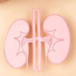 Kidney Cancer Symptoms: కిడ్నీ క్యాన్సర్ ఉన్నప్పుడు మీ శరీరంలో కనిపించే ప్రధాన లక్షణాలు ఇవే