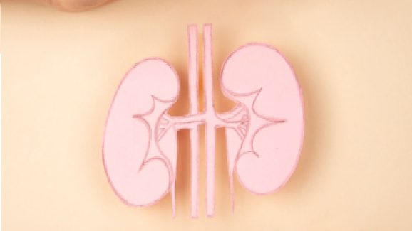 Kidney Cancer Symptoms: కిడ్నీ క్యాన్సర్ ఉన్నప్పుడు మీ శరీరంలో కనిపించే ప్రధాన లక్షణాలు ఇవే