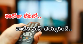 OTT Movie : 30 సంవత్సరాల కోర్ట్ కేసు ... పంతానికిపోయే రెండు ఫ్యామిలీలు ... ఈ కామెడీకి పొట్ట చెక్కలే