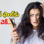 Control Hair Fall Tips: జుట్టు ఎక్కువగా రాలుతోందా..? నో టెన్షన్.. వీటితో మీ జుట్టు పదిలం