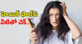 Control Hair Fall Tips: జుట్టు ఎక్కువగా రాలుతోందా..? నో టెన్షన్.. వీటితో మీ జుట్టు పదిలం
