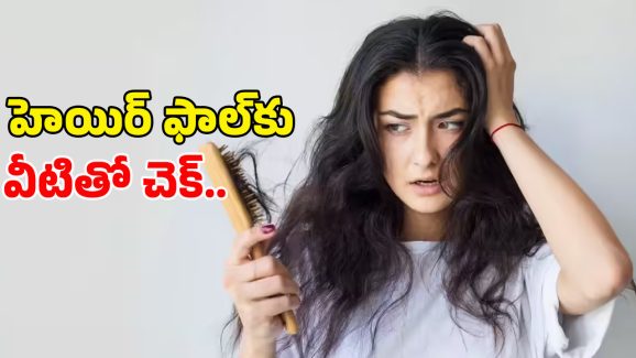 Control Hair Fall Tips: జుట్టు ఎక్కువగా రాలుతోందా..? నో టెన్షన్.. వీటితో మీ జుట్టు పదిలం