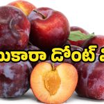 Aloo Bukhara Fruits: ఈ ఒక్క పండు చాలు.. క్యాన్సర్ నుంచి గుండె జబ్బుల వరకు అన్నింటికి చెక్..!