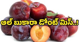 Aloo Bukhara Fruits: ఈ ఒక్క పండు చాలు.. క్యాన్సర్ నుంచి గుండె జబ్బుల వరకు అన్నింటికి చెక్..!