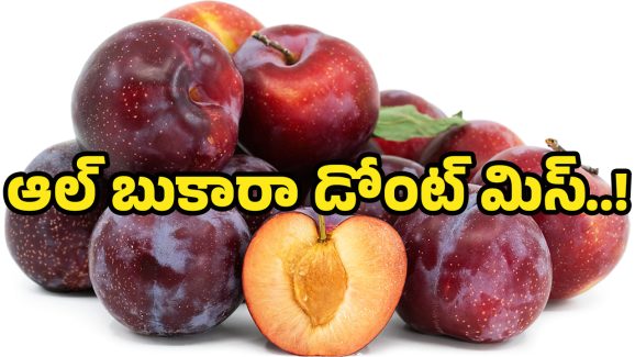 Aloo Bukhara Fruits: ఈ ఒక్క పండు చాలు.. క్యాన్సర్ నుంచి గుండె జబ్బుల వరకు అన్నింటికి చెక్..!