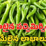 Green Chilli Benefits: పచ్చిమిరపకాయలు తినడం వల్ల ఎన్ని లాభాలో.. తెలిస్తే షాక్..!