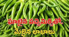 Green Chilli Benefits: పచ్చిమిరపకాయలు తినడం వల్ల ఎన్ని లాభాలో.. తెలిస్తే షాక్..!