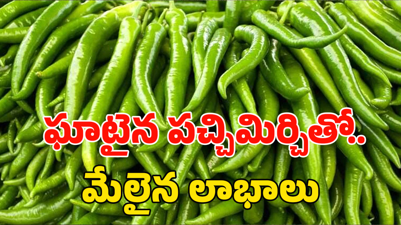 Green Chilli Benefits: పచ్చిమిరపకాయలు తినడం వల్ల ఎన్ని లాభాలో.. తెలిస్తే షాక్..!