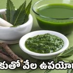 Neem leaves Uses: వేపాకుతో ఎన్ని రోగాలకు చెక్ పెట్టోచ్చో తెలుసా?