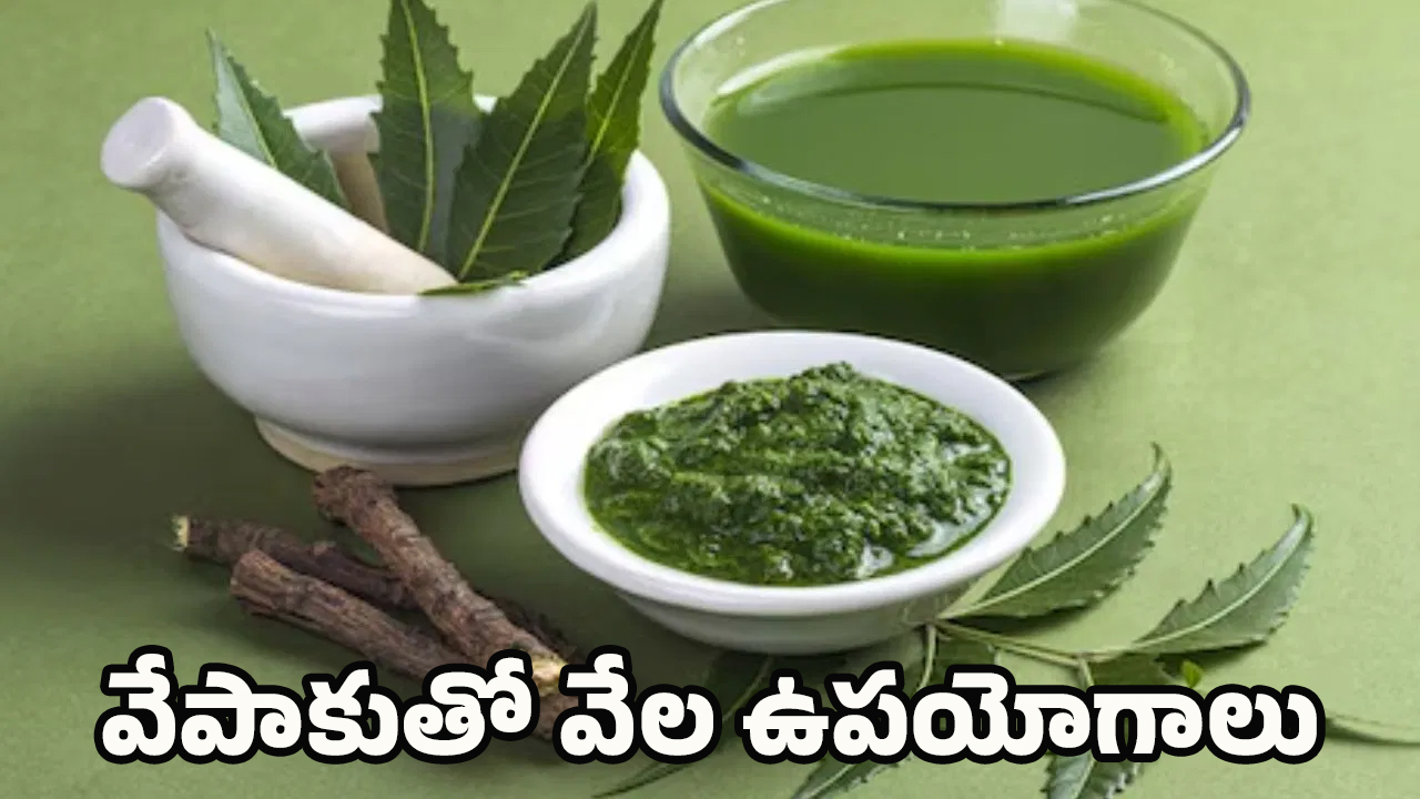 Neem leaves Uses: వేపాకుతో ఎన్ని రోగాలకు చెక్ పెట్టోచ్చో తెలుసా?