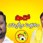 Nandikotkur Politics: బైరెడ్డి అడ్డాలో టీడీపీ ఎమ్మెల్యే కథ రివర్స్?