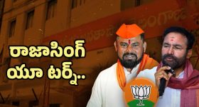 Best Hair Care Tips: ఏవేవో హెయిర్ ఆయిల్స్ అవసరమే లేదు, ఈ ఒక్కటి వాడితే పొడవాటి జుట్టు