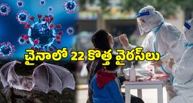 Fire Accident: భారీ అగ్నిప్రమాదం.. ఉవ్వెత్తున ఎగిసిపడిన మంటలు, రూ.కోటి ఆస్తి నష్టం