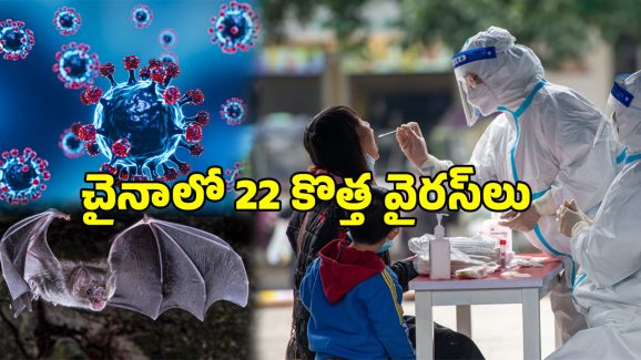 China New Virus: చైనాలో మరో 22 వైరస్‌లు.. పిచ్చిలేసి మొత్తం పోతారు..!