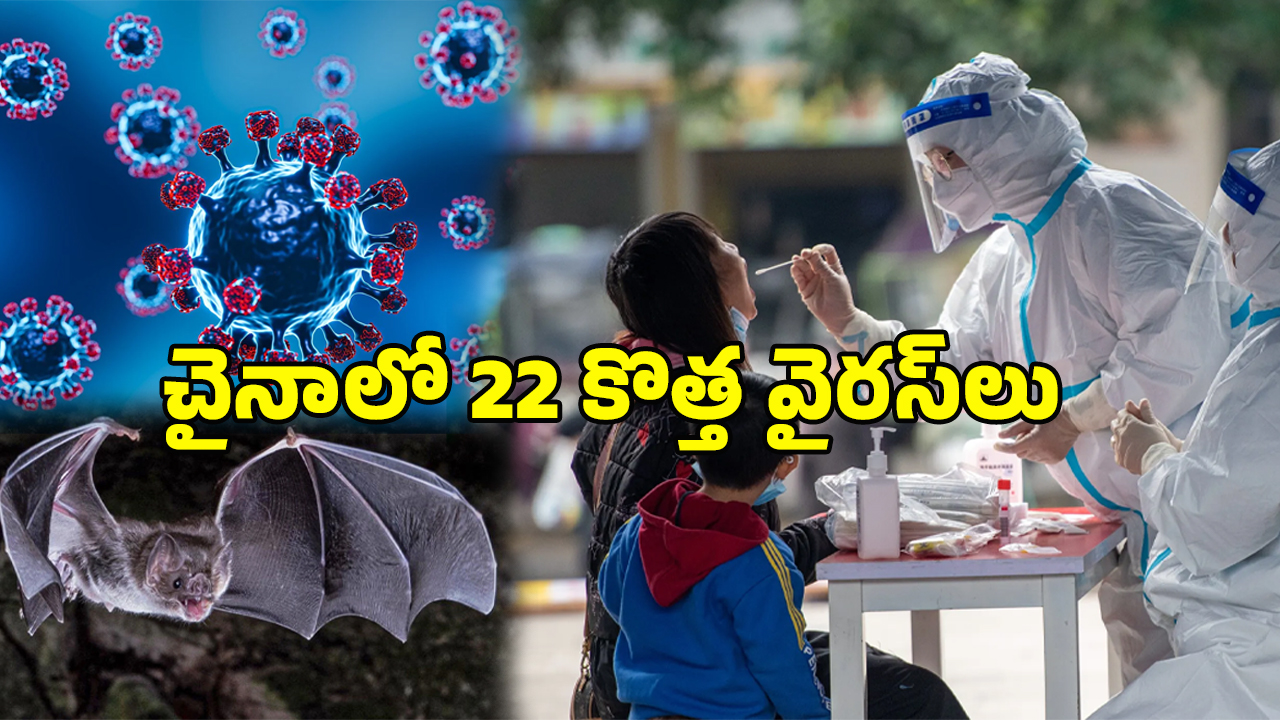 China New Virus: చైనాలో మరో 22 వైరస్‌లు.. పిచ్చిలేసి మొత్తం పోతారు..!