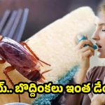 Cockroaches side Effects: ఊపిరి పీల్చలేకపోతున్నారా? బొద్దింకలే కారణం కావచ్చు!
