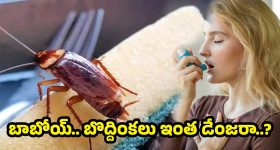 BJP : ఈ ఆదివారం బీజేపీకి బిగ్ డే..
