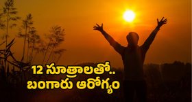 Good Health Habits: ఆరోగ్యానికి 12 సూత్రాలు.. అవేంటో తెలుసా?