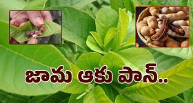 Viral News: స్కూటీ కాస్ట్ లక్ష, ఫ్యాన్సీ నెంబర్ ప్లేట్ కాస్ట్ 14 లక్షలు!