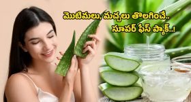 Revanth Reddy: బీ రెడీ.. జమిలిపై సీఎం రేవంత్ రెడ్డి ఆసక్తికర వ్యాఖ్యలు