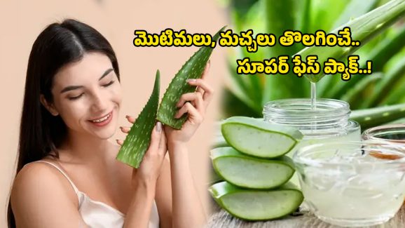 Aloevera Beauty Tips: వర్షాకాలంలో తెల్లగా మెరిసిపోవాలా? ఈ ఫేస్ ప్యాక్ ట్రై చేయండి..