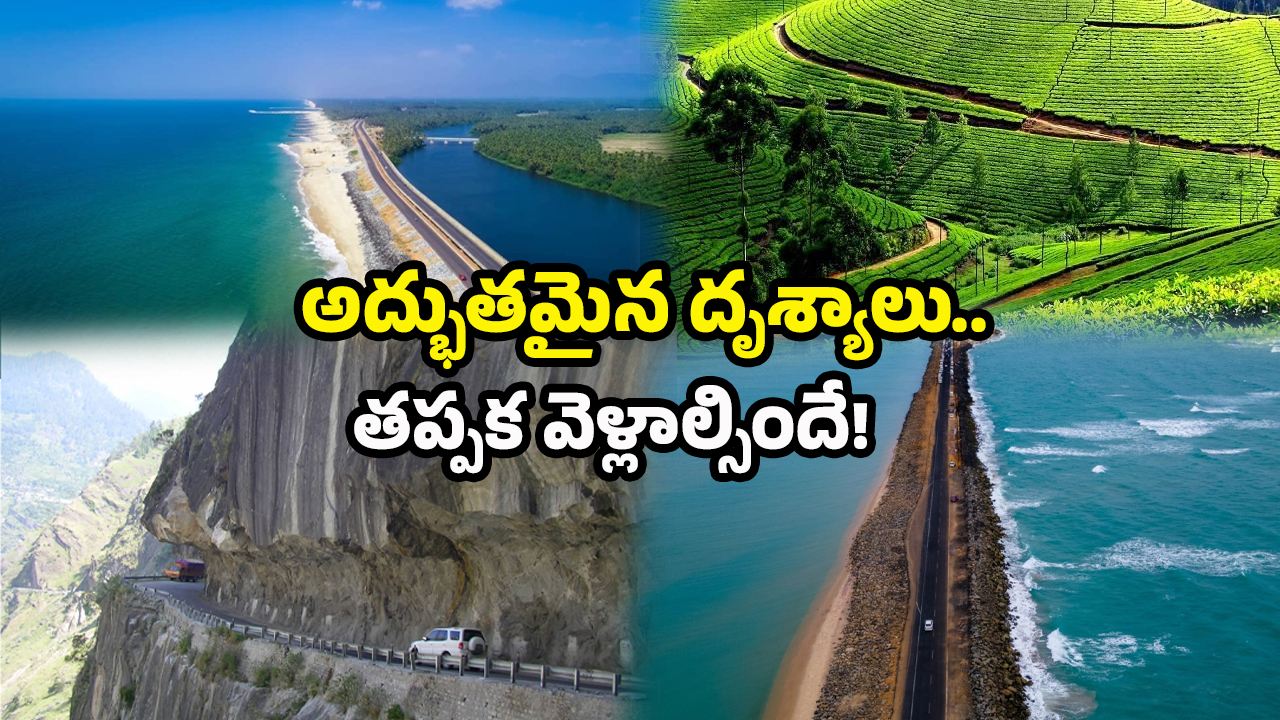 Best Road Trips: రోడ్ ట్రిప్‌కు వెళ్తున్నారా? అయితే వీటిని పక్కా చూడాల్సిందే..!
