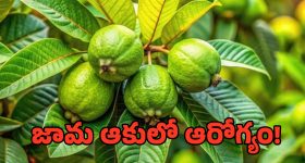 Beauty Tips : వానాకాలం బ్యూటీ టిప్స్.. ఇలా చేస్తే మెరిసే స్కిన్..