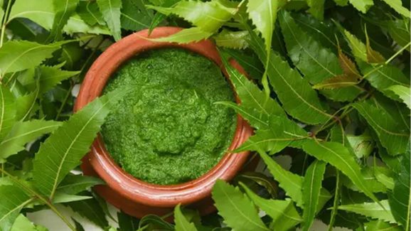 Neem Leaves Benefits: హాస్పిటల్స్‌లో లక్షలు పెట్టే కన్నా.. పొద్దున్నే ఈ ఆకులు తింటే రోగాలన్నీ మాయం