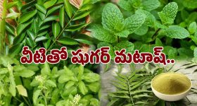 Jagan: వైసీపీ నాయకులకు జగన్ అగ్ని పరీక్ష.. తెరపైకి మరో కొత్త కార్యక్రమం