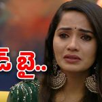 Shobha Shetty: సోషల్ మీడియాకు శోభాశెట్టి గుడ్ బై.. కారణం ఇదేనా?