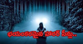 Marriage Advice: పెళ్లి చూపులప్పుడే ఈ ప్రశ్నలు అడగండి.. లేదంటే మర్డరైపోతారు జాగ్రత్త!