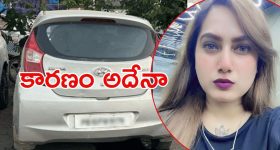 Social Media: సోషల్‌మీడియా ఇన్ఫ్లుయెన్సర్ కమల్‌‌కౌర్ దారుణ హత్య, కారులో మృతదేహం