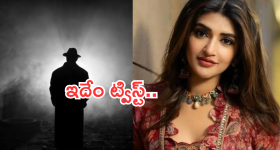 OTT Movie : ఇష్టపడ్డ అమ్మాయినే కొట్టి చంపే లవర్... ఆ అమ్మాయి చూపించే టార్చర్ కు ఫ్యూజులు అవుట్