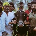 Suriya: వాడివాసల్ నుంచి తప్పుకున్న సూర్య.. కారణం ఏంటంటే ?