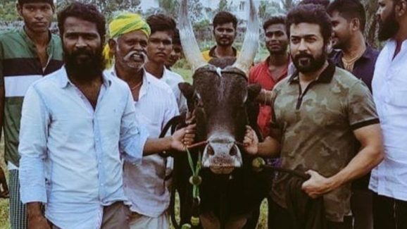 Suriya: వాడివాసల్ నుంచి తప్పుకున్న సూర్య.. కారణం ఏంటంటే ?